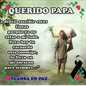 Meet your Posher, Alexander